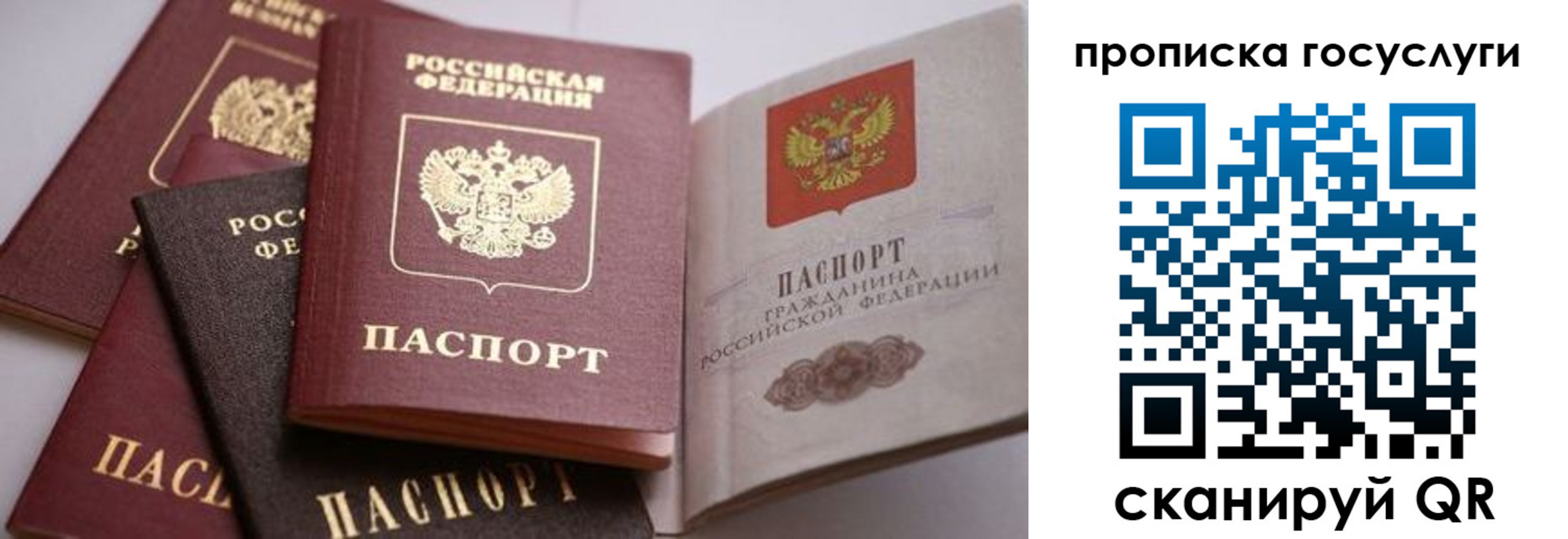прописка иностранных граждан в Юже